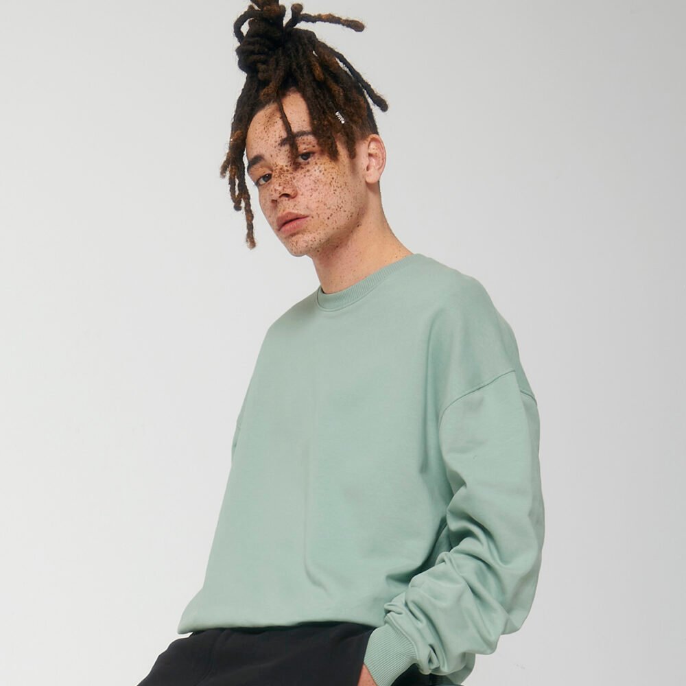 Unisex Ledger dry sweatshirt (STSU798)